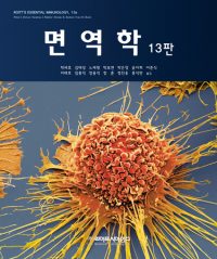 면역학 13판-Roitts Essential Immunology 13/E 번역서