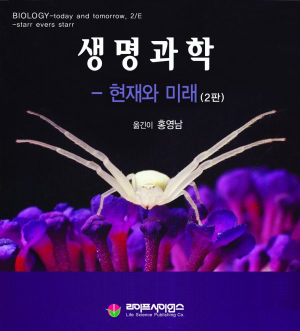 상품이미지 최대 사이즈
