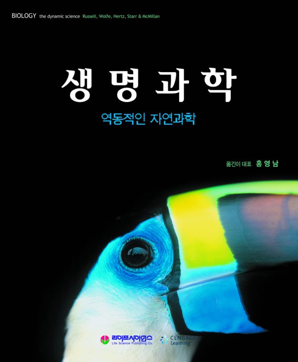상품이미지 최대 사이즈