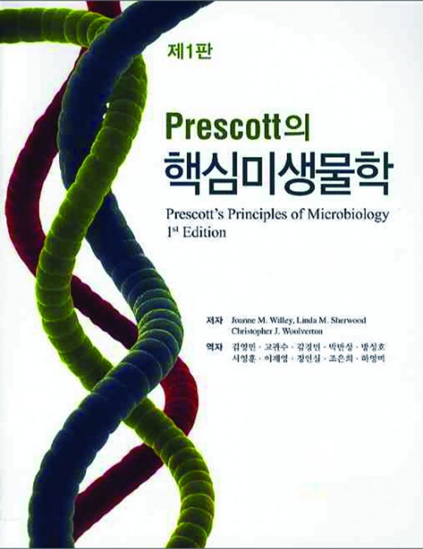 상품이미지 최대 사이즈