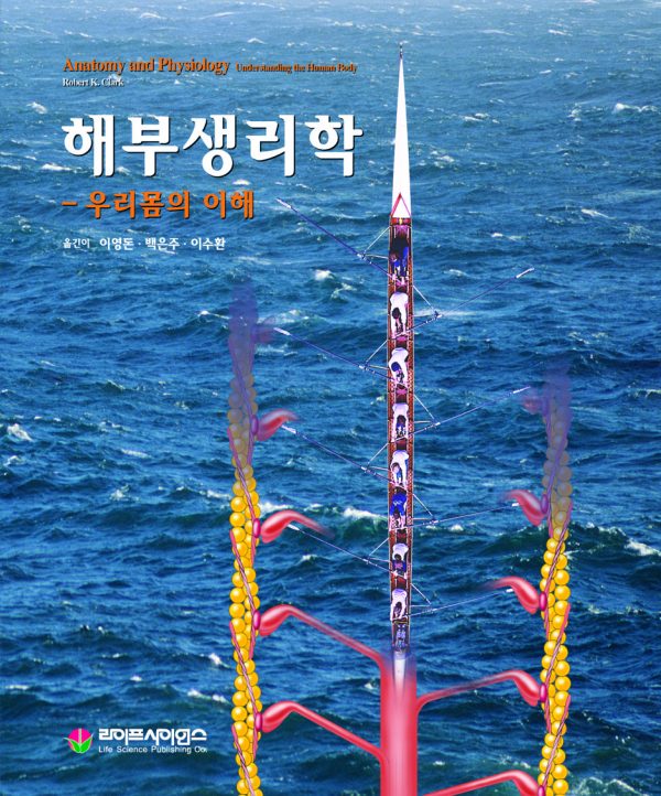 상품이미지 최대 사이즈