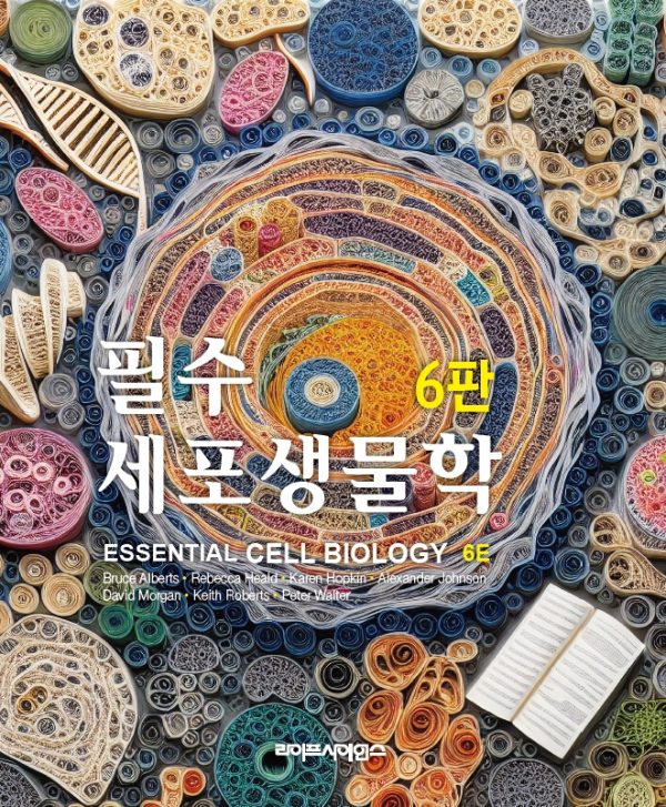 상품이미지 최대 사이즈