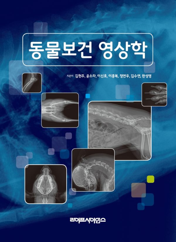 상품이미지 최대 사이즈
