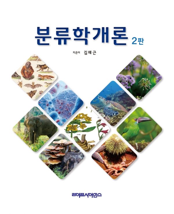 상품이미지 최대 사이즈