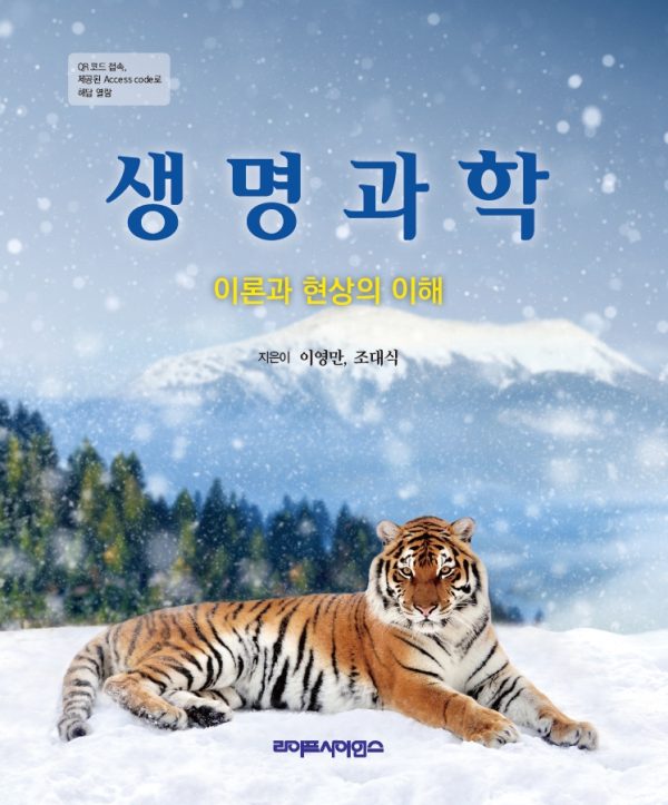 상품이미지 최대 사이즈