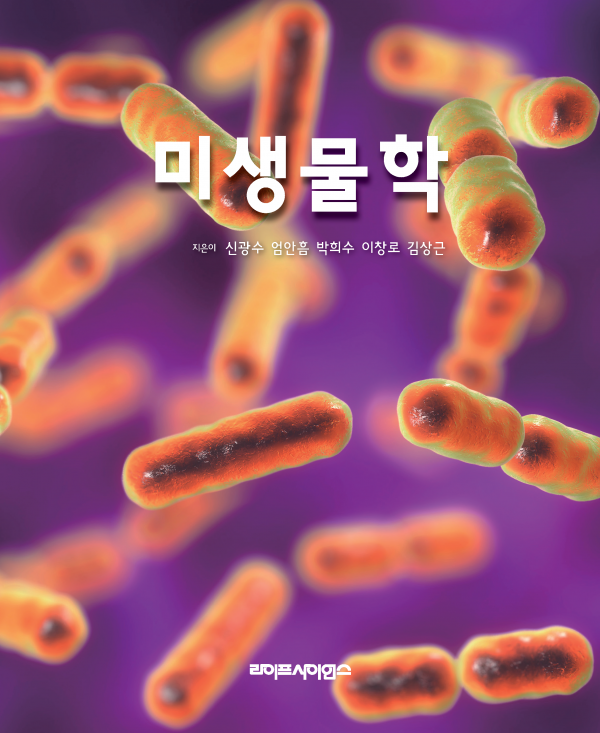 상품이미지 최대 사이즈