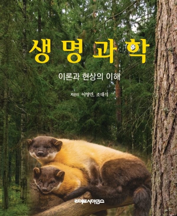 상품이미지 최대 사이즈