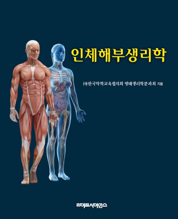상품이미지 최대 사이즈